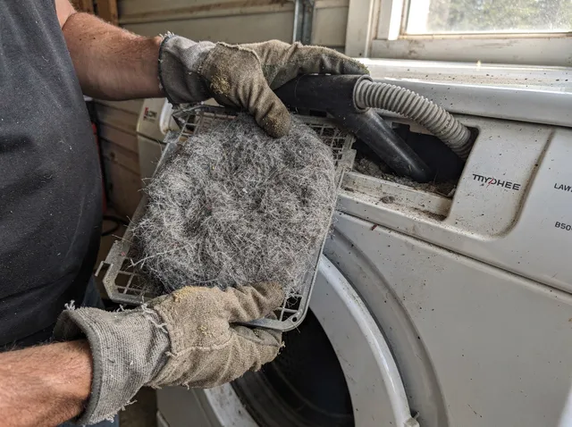 Cleaning Dryer Lint Trap in Powell